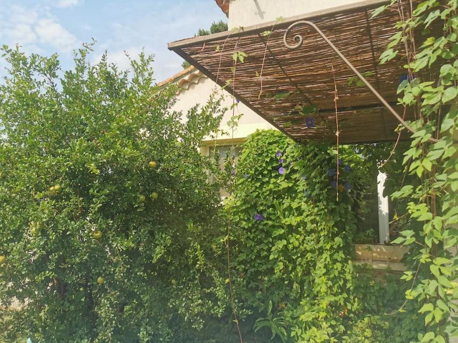 Maison Avec Piscine Dans Village Provencal. Courthézon Esterno foto